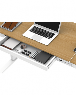 ET365 Ergonomic Office Desk Height Adjustable Electric Dual-Motor